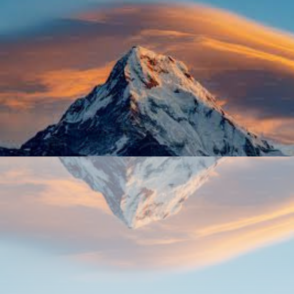 Untitled design (11)